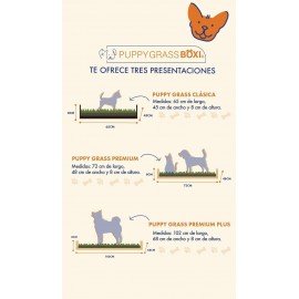 Puppy Grass Boxi Repuesto