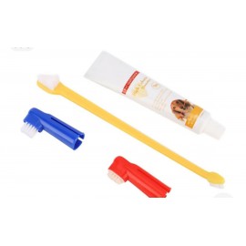 Kit Dental Cepillo De...