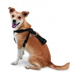 Seat Belt Harness