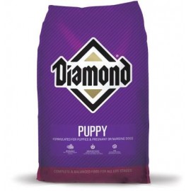 DIAMOND PUPPY